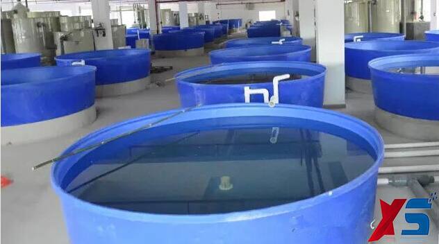 大型養(yǎng)殖場(chǎng)養(yǎng)殖桶管道布局圖